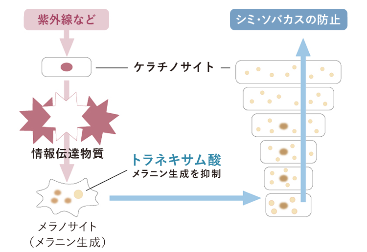 お客様限定特別キャンペーン｜化粧品・スキンケア・基礎化粧品の通販