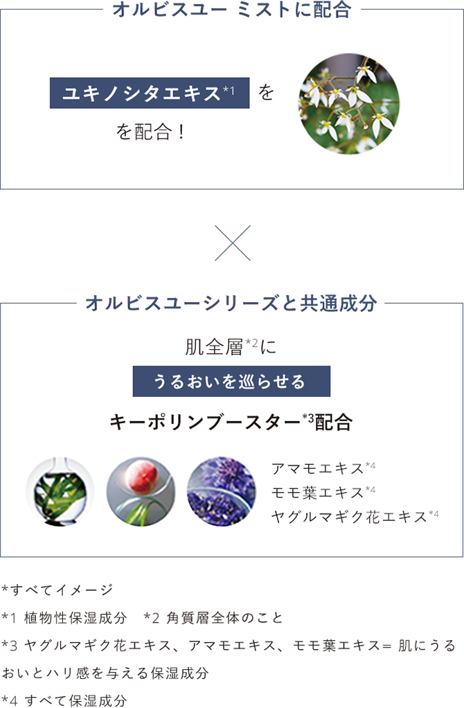 【オルビスユー ミストに配合】ユキノシタエキス*1を配合✖️【オルビスユーシリーズと共通成分】肌全層*2にうるおいを巡らせるキーポリンブースター*3配合 アマモエキス*4 モモ葉エキス*4 ヤグルマギク花エキス*4／*すべてイメージ *1 植物性保湿成分 *2 角質層全体のこと *3 ヤグルマギク花エキス、アマモエキス、モモ葉エキス＝肌にうるおいとハリ感を与える保湿成分 *4 すべて保湿成分