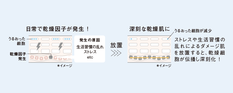 ストレスや生活習慣の乱れによるダメージ肌を放置すると、乾燥細胞が伝播し深刻化！