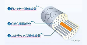 ①Fレイヤー補修成分*4 ②CMC補修成分*5 ③コルテックス補修成分*6 *イメージ