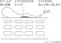 クリームが肌に密着 メイク汚れだけをキャッチ メイク汚れを包んで洗い流します *イメージ（角層内）