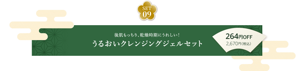 SET09 後肌もっちり、乾燥時期にうれしい！うるおいクレンジングジェルセット264円OFF 2,670円（税込）