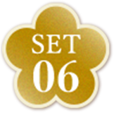 SET6