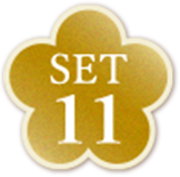 SET11