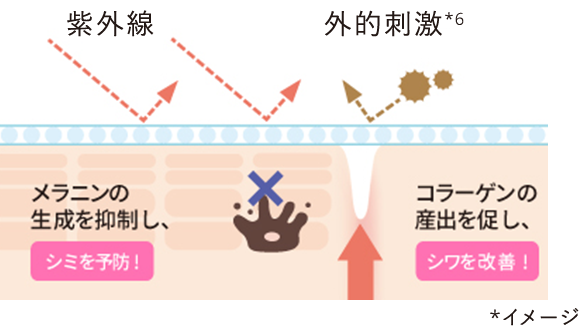 紫外線 外的刺激*6 メラニンの生成を抑制し、シミを予防！ コラーゲンの産出を促し、シワを改善！*イメージ