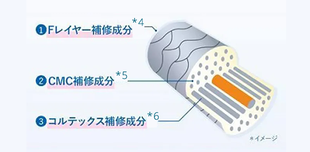 ①Fレイヤー補修成分*4 ②CMC補修成分*5 ③コルテックス補修成分*6 *イメージ