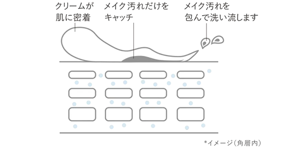 クリームが肌に密着 メイク汚れだけをキャッチ メイク汚れを包んで洗い流します *イメージ（角層内）