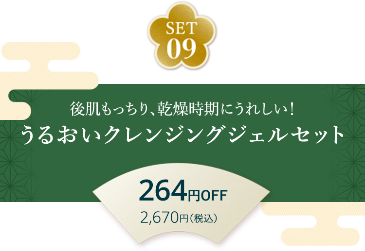 SET09 後肌もっちり、乾燥時期にうれしい！うるおいクレンジングジェルセット264円OFF 2,670円（税込）