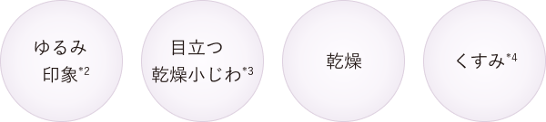 ゆるみ 印象*2/目立つ 乾燥小じわ*3/乾燥/くすみ*4