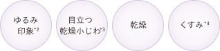 ゆるみ 印象*2/目立つ 乾燥小じわ*3/乾燥/くすみ*4