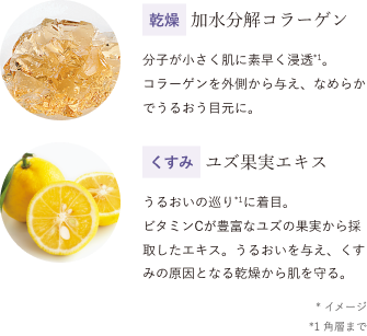 乾燥 加水分解コラーゲン 分子が小さく肌に素早く浸透*1。 コラーゲンを外側から与え、なめらかでうるおう目元に。/くすみ ユズ果実エキス うるおいの巡り*1に着目。 ビタミンCが豊富なユズの果実から採取したエキス。うるおいを与え、くすみの原因となる乾燥から肌を守る。 *イメージ *1角層まで