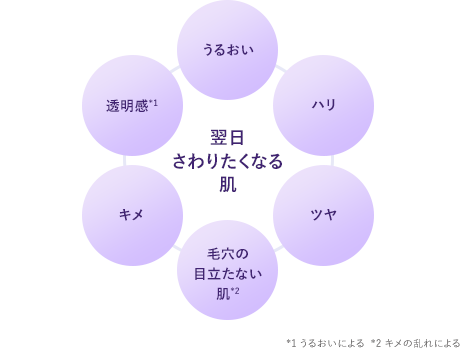 翌日さわりたくなる肌：透明感*1 うるおい ハリ ツヤ 毛穴の目立たない肌*2 キメ／*1 うるおいによる  *2 キメの乱れによる