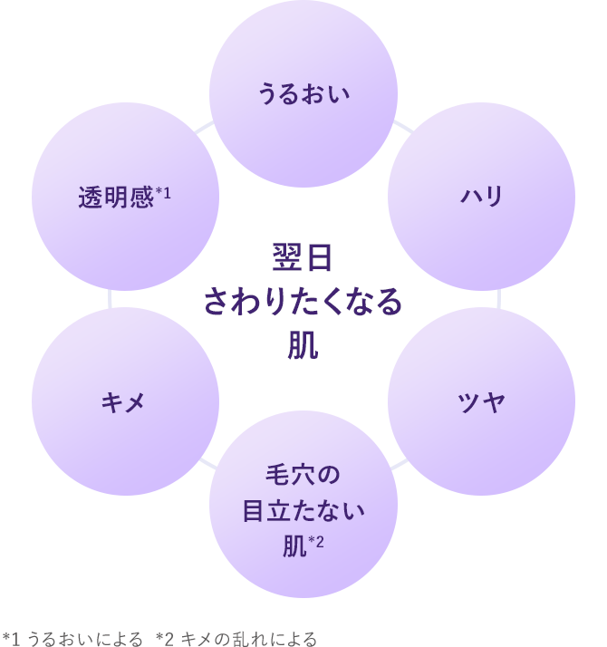 翌日さわりたくなる肌：透明感*1 うるおい ハリ ツヤ 毛穴の目立たない肌*2 キメ／*1 うるおいによる  *2 キメの乱れによる