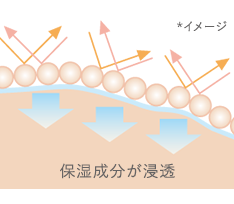 保湿成分が浸透 *イメージ