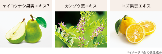 セイヨウナシ果実エキス*1 カンゾウ葉エキス ユズ果実エキス *イメージ *全て保湿成分