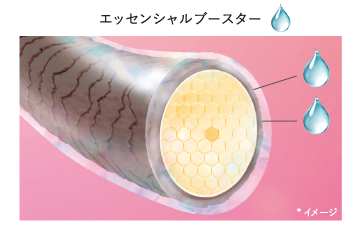 エッセンシャルブースター