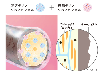 浸透型ナノリペアカプセル + 持続型ナノリペアカプセル