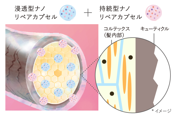 浸透型ナノリペアカプセル + 持続型ナノリペアカプセル