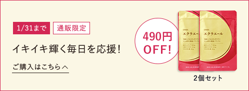 【1/31まで】【通販限定】 イキイキ輝く毎日を応援！ 490円OFF！ 2個セット ご購入はこちら