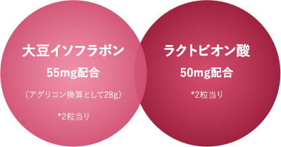 大豆イソフラボン 55mg配合（アグリコン換算として28g）/ラクトビオン酸 50mg配合