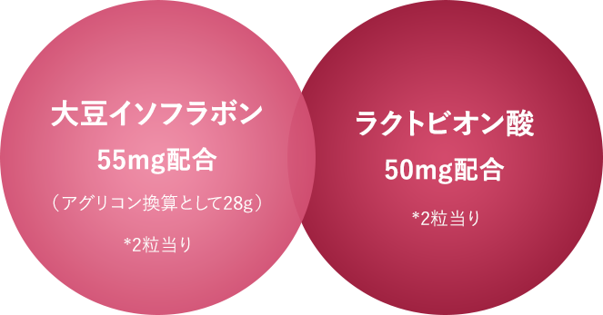 大豆イソフラボン 55mg配合（アグリコン換算として28g）/ラクトビオン酸 50mg配合