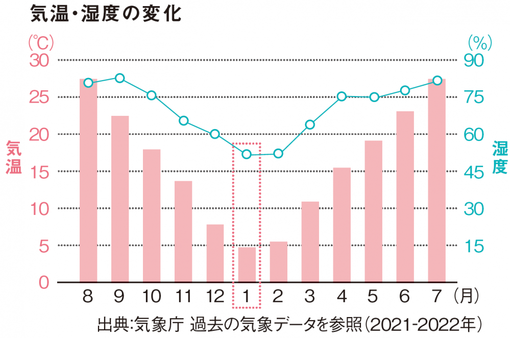 毎年大人気！】ナイトタイムパック酵美人2023｜今年のテーマは宇治茶