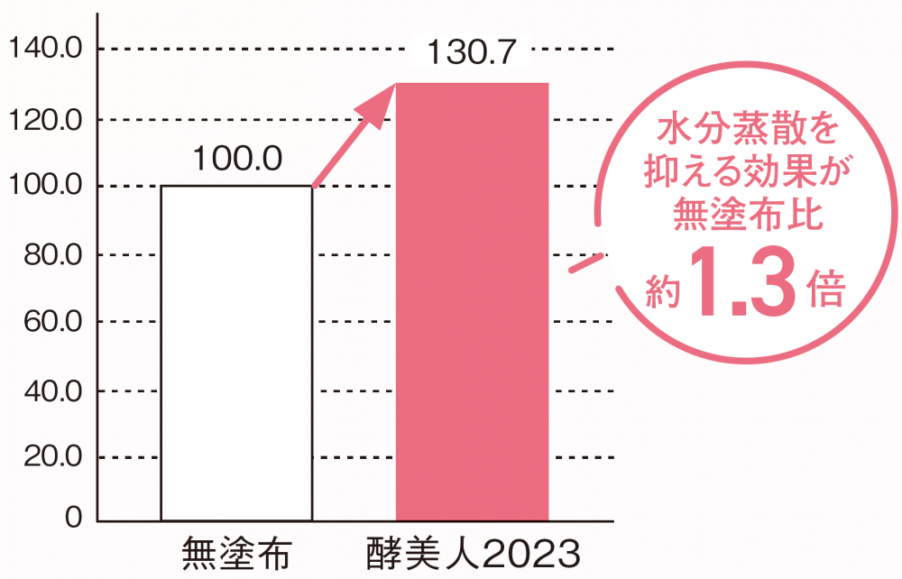 毎年大人気！】ナイトタイムパック酵美人2023｜今年のテーマは宇治茶